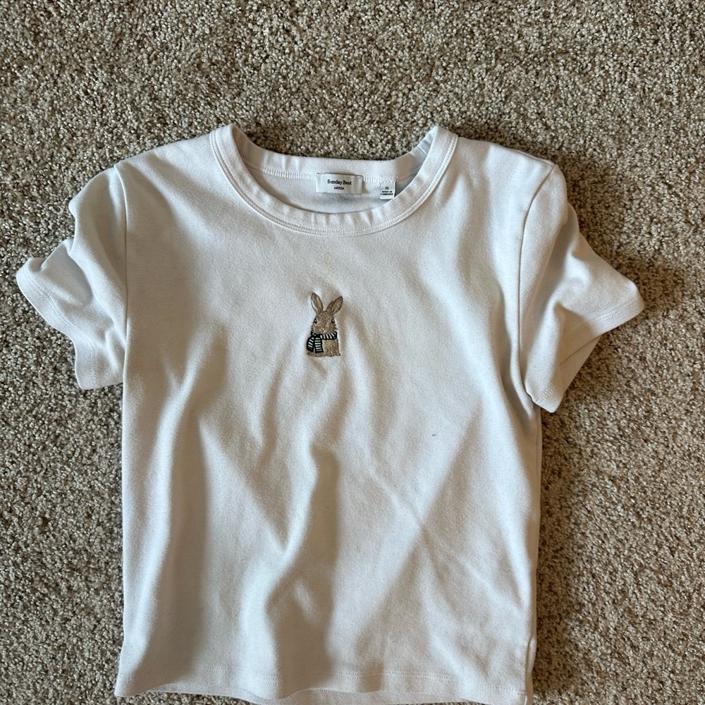 Aritzia Sunday Best Cropped T-Shirt